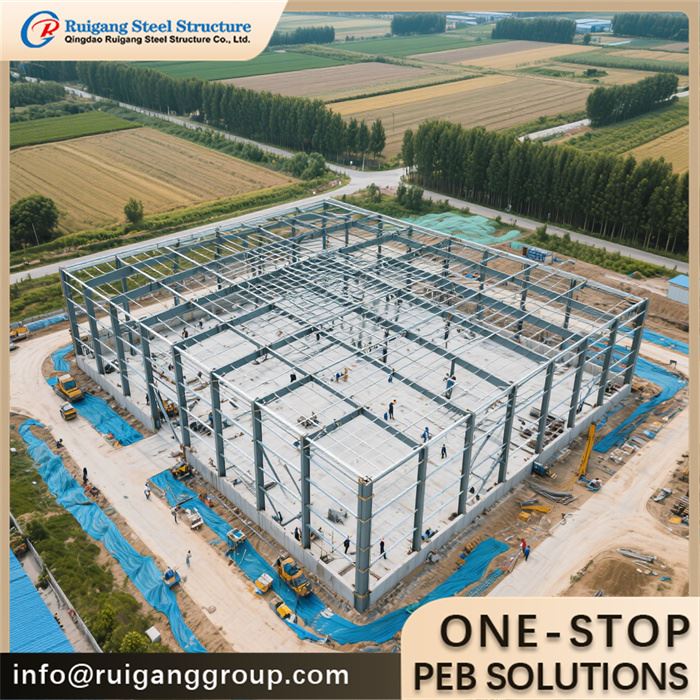 Steel Structure Slaughterhouse